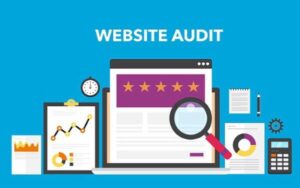 Chế độ danh sách web Auditor