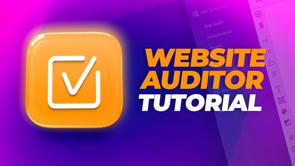 Sử dụng website Auditor