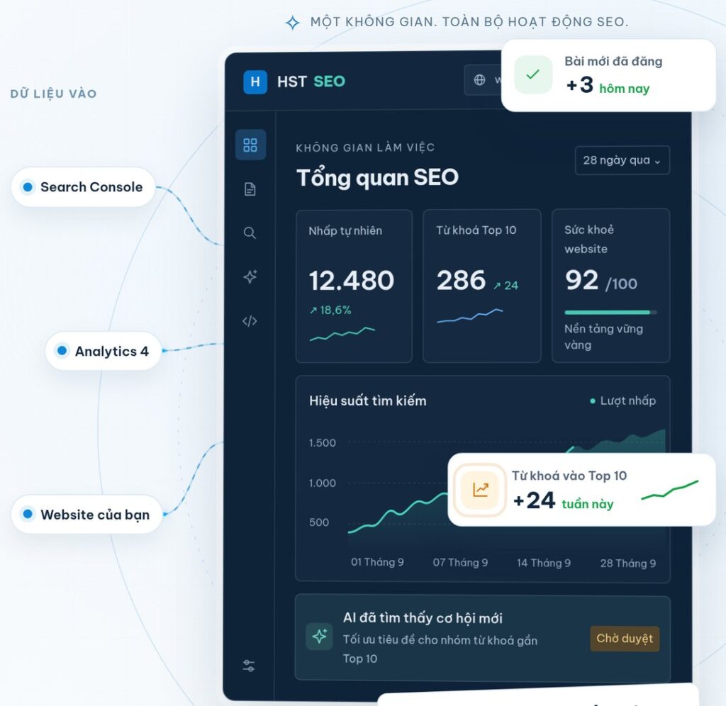 HST SEO - màn hình Tổng quan SEO